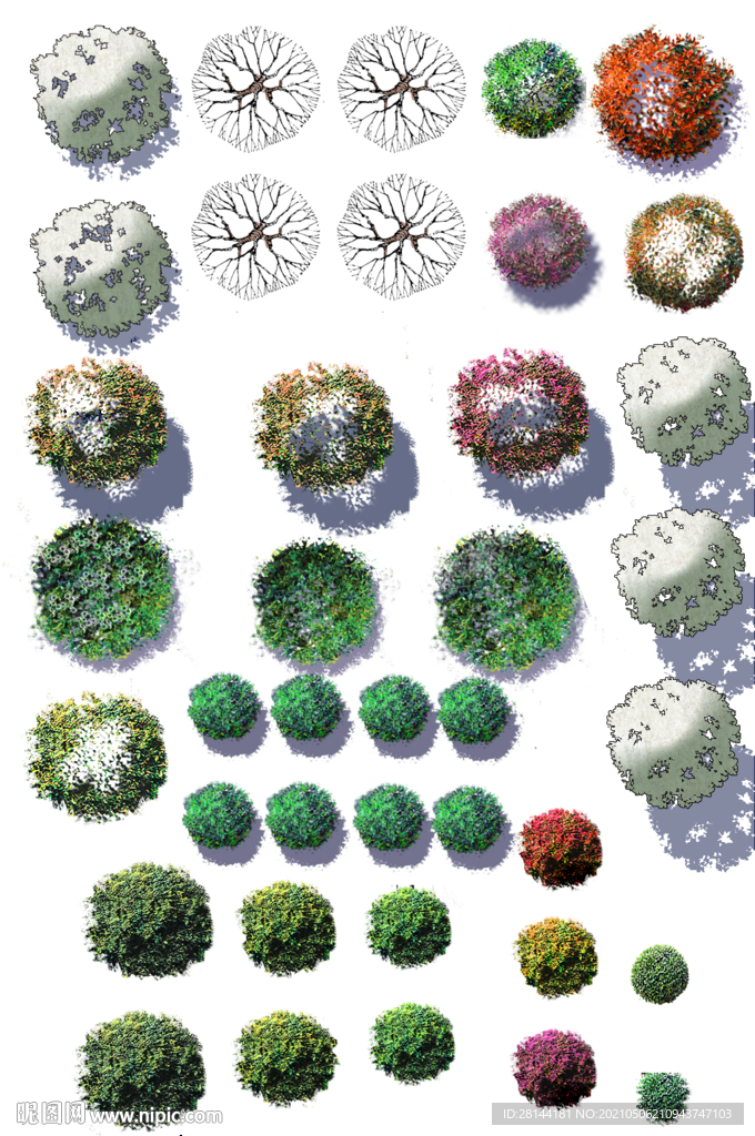 植物平面素材PSD