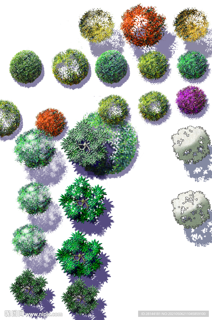 植物平面素材PSD