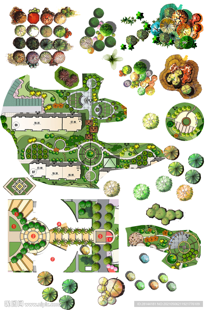 植物平面素材PSD