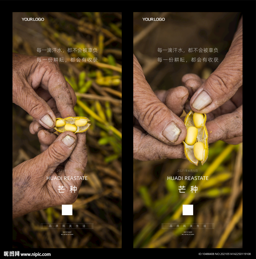 地产节气微信海报芒种小满播种
