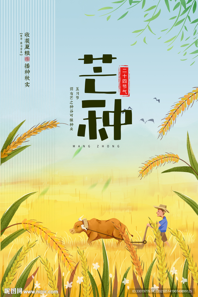 芒种 麦田 夏天