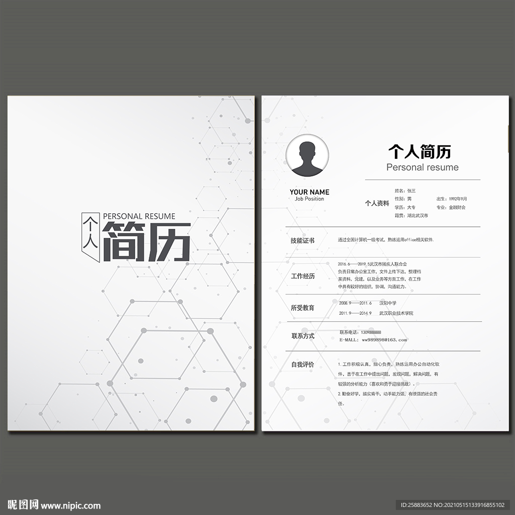 淡雅科技简历模板