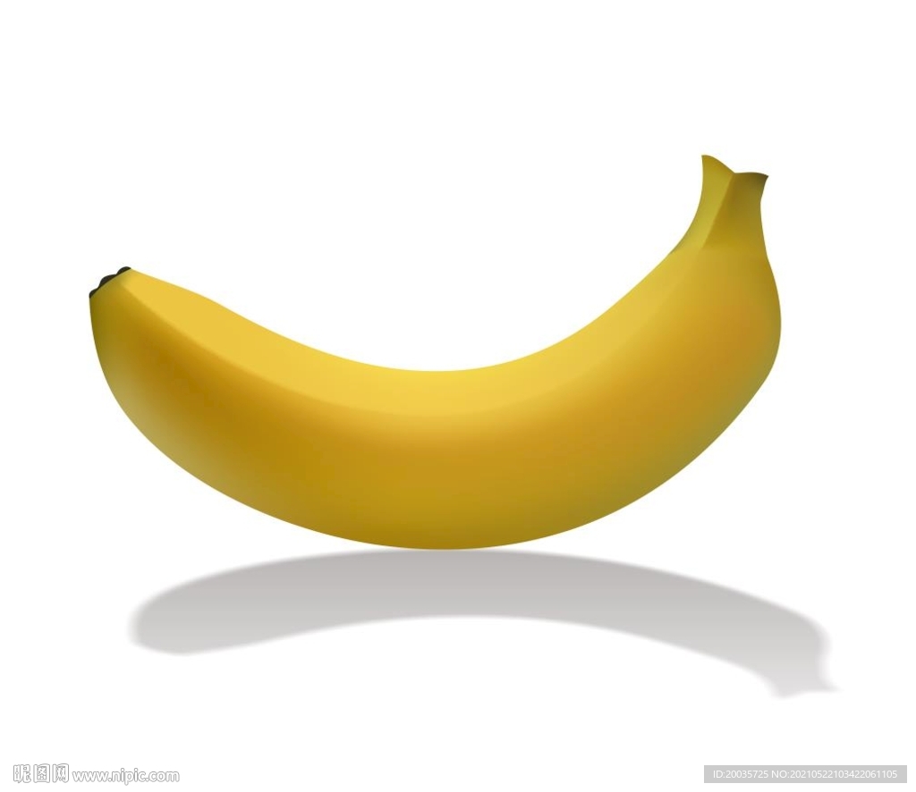 香蕉矢量