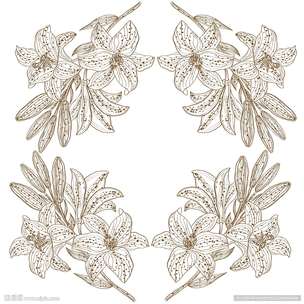 百合花手绘线描