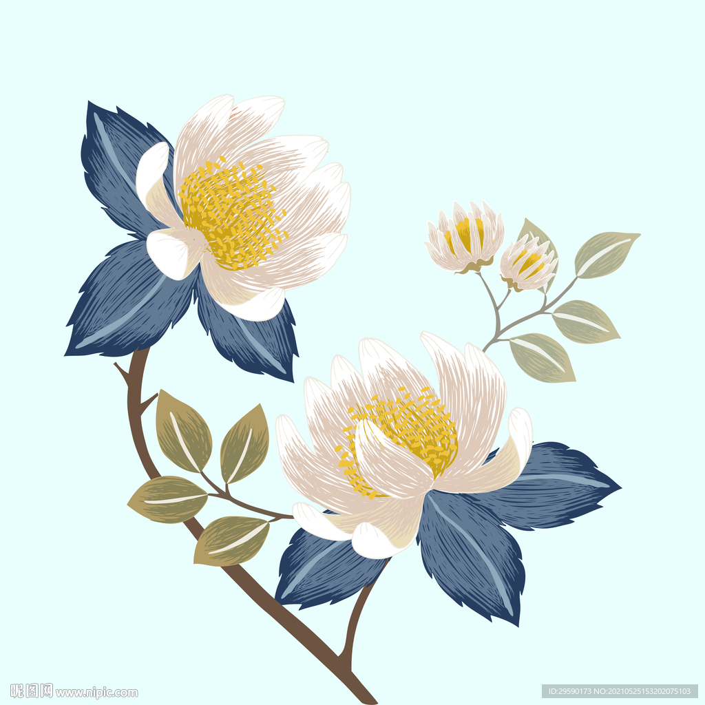 手绘水彩昙花插画卡通花朵剪影