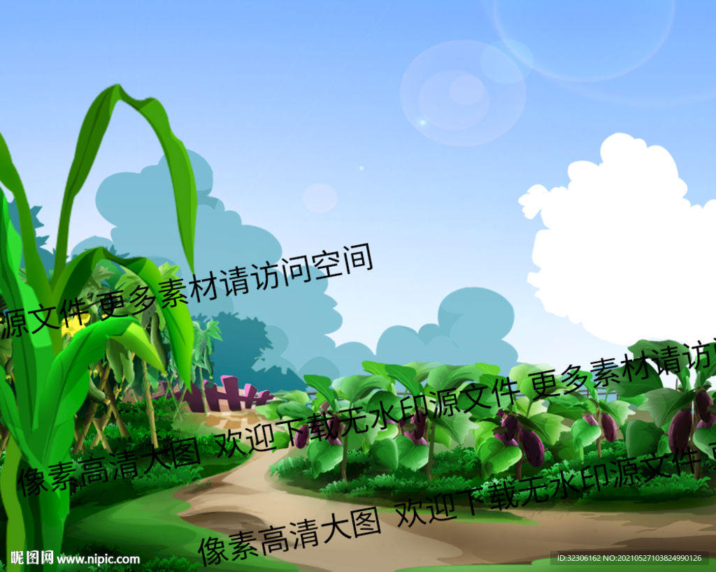 菜园 玉米 茄子