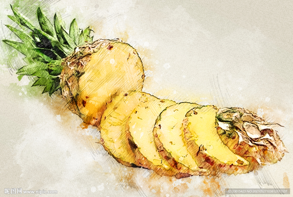 切开的菠萝手绘插画素描彩绘
