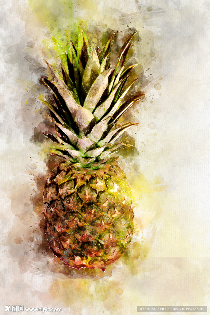 菠萝手绘插画素描彩绘
