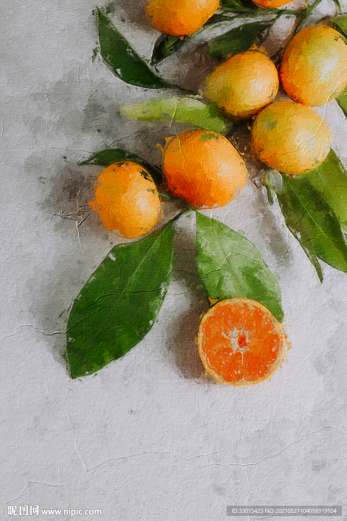 橘子插画油画手绘