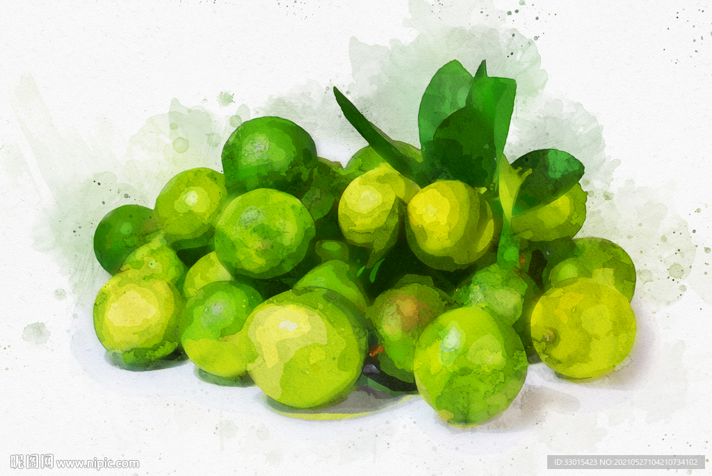 青桔插画水彩画