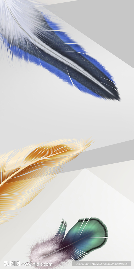 羽毛玄关高清无框画TIF分层