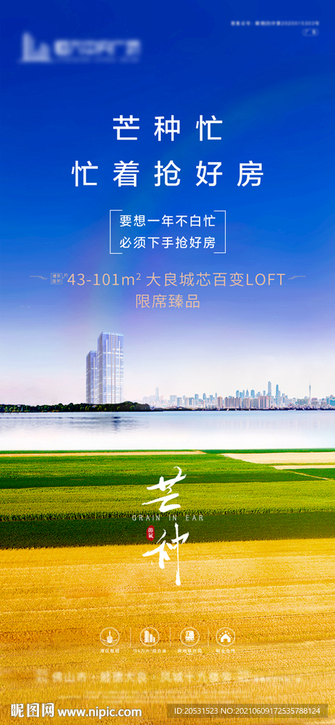 地产芒种节气微信稿海报宣传单