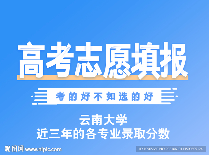 云南大学各专业录取分数