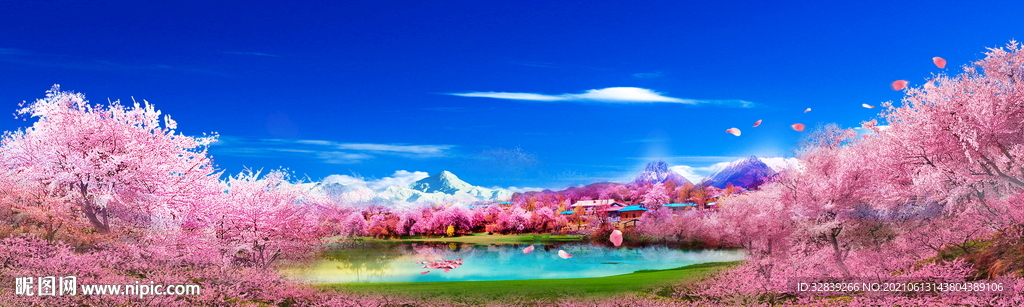 林芝桃花沟海报