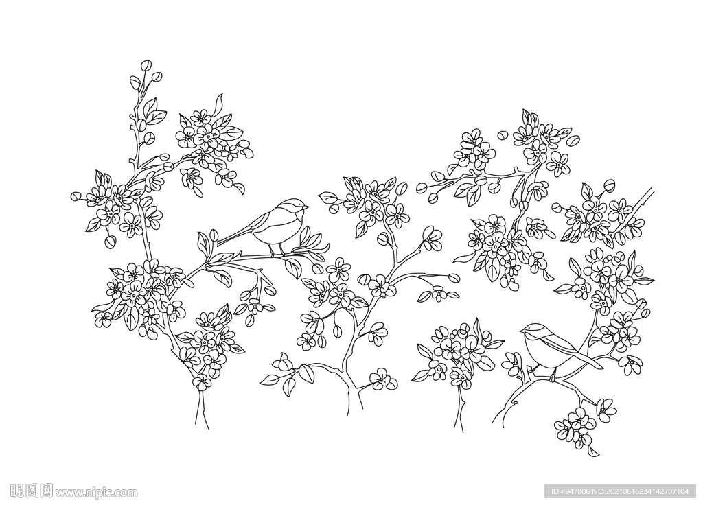 花树与鸟 矢量图