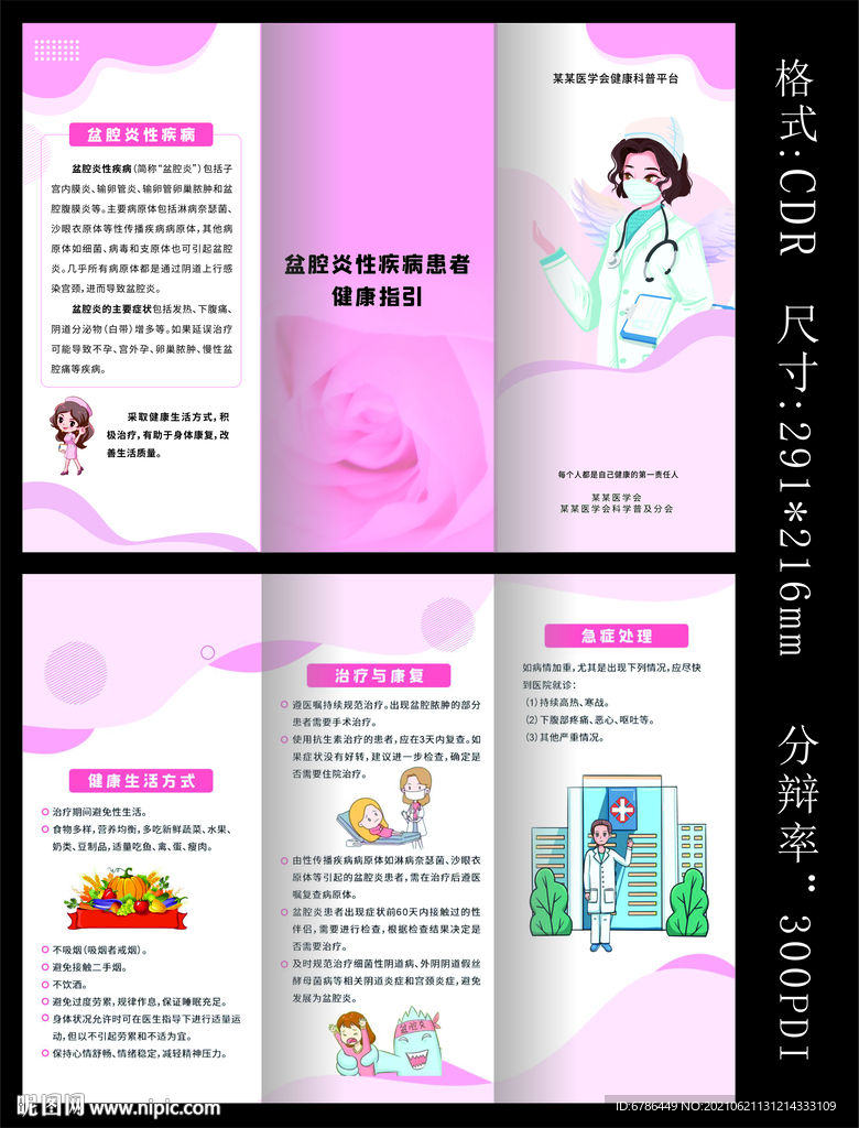 盆腔炎性疾病 常见妇科疾病炎症