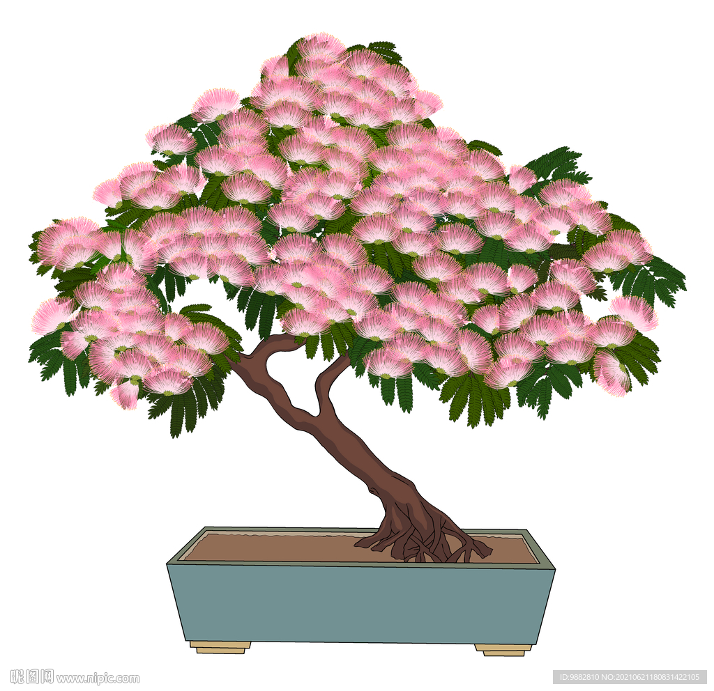 手绘合欢花盆栽