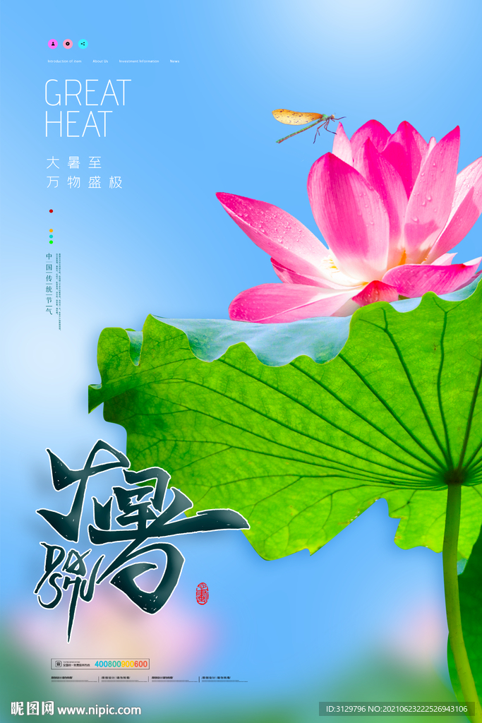 大暑荷花节气海报