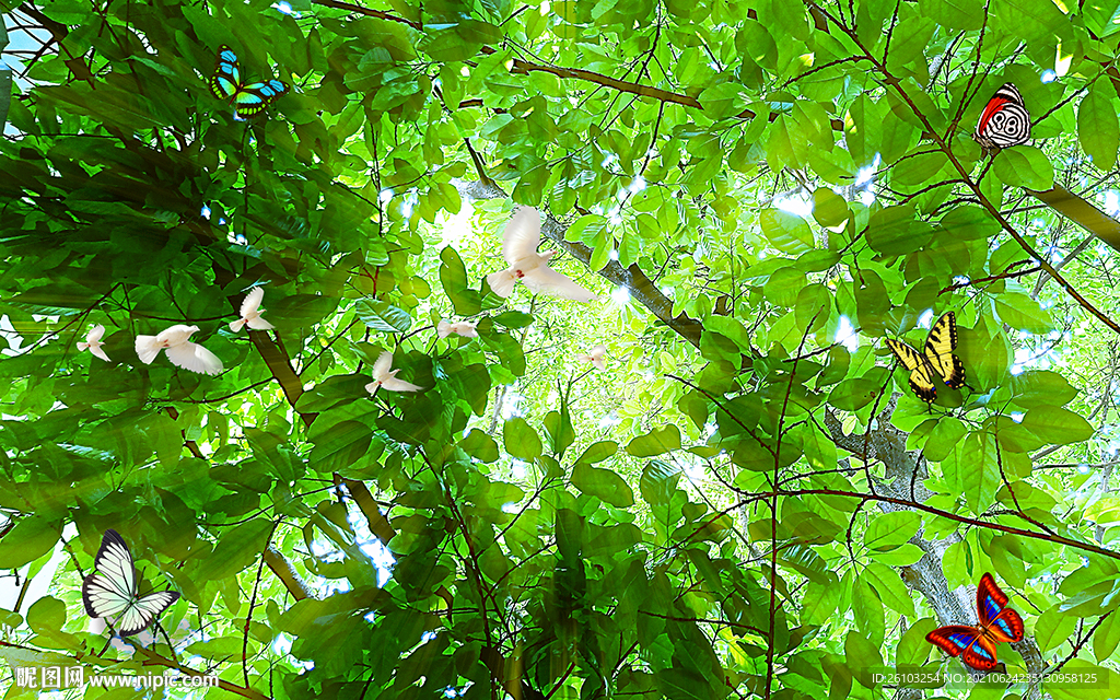 清新大树小鸟蝴蝶电视背景墙