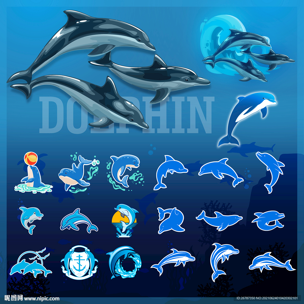 矢量海豚系列