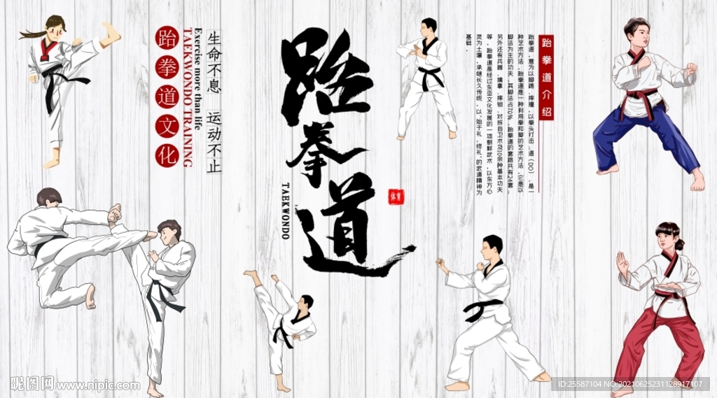跆拳道背景墙