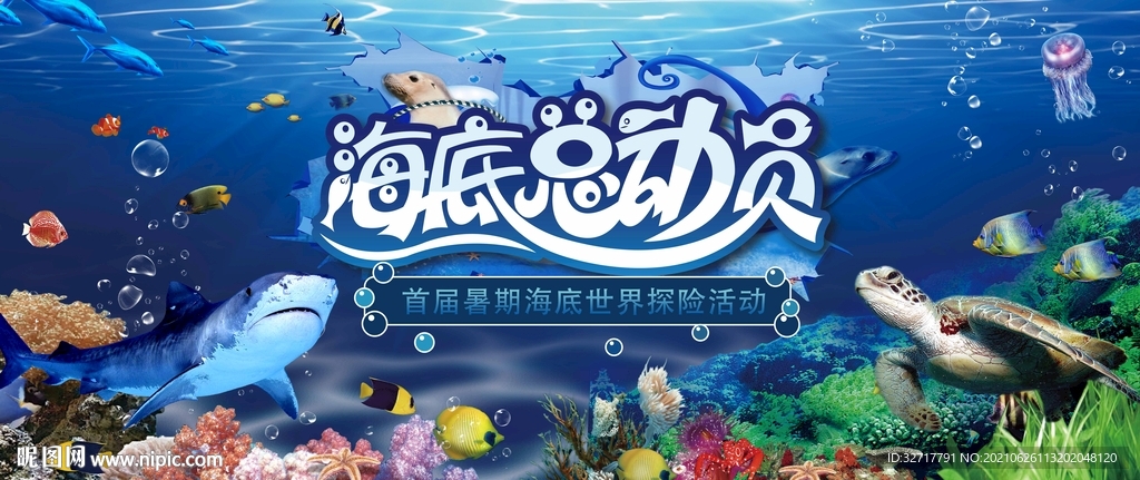 海底总动员活动图片
