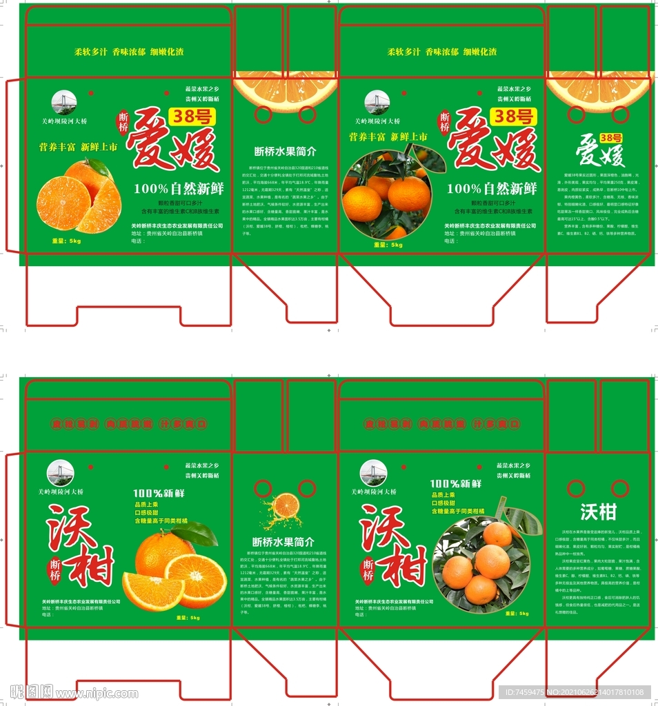 桔子包装 水果礼盒 爱媛沃柑