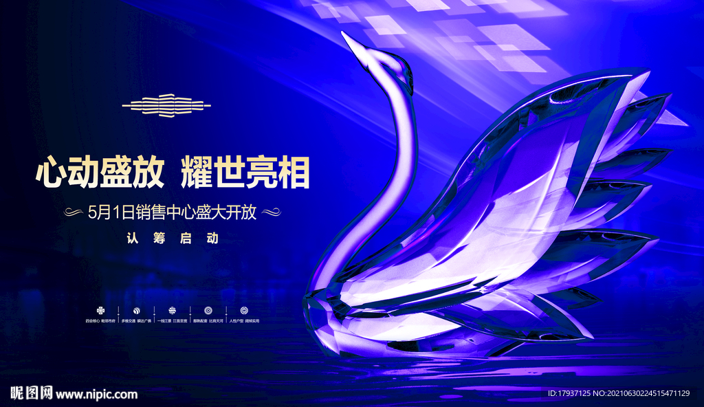 天鹅 江水 灯光 湖 晚会