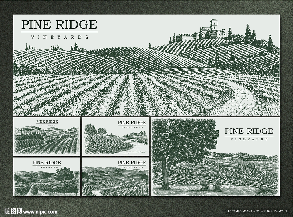 矢量手绘传统葡萄农庄