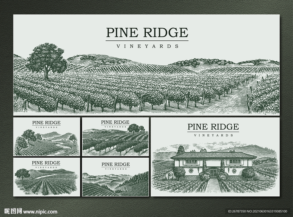 矢量手绘传统葡萄农庄