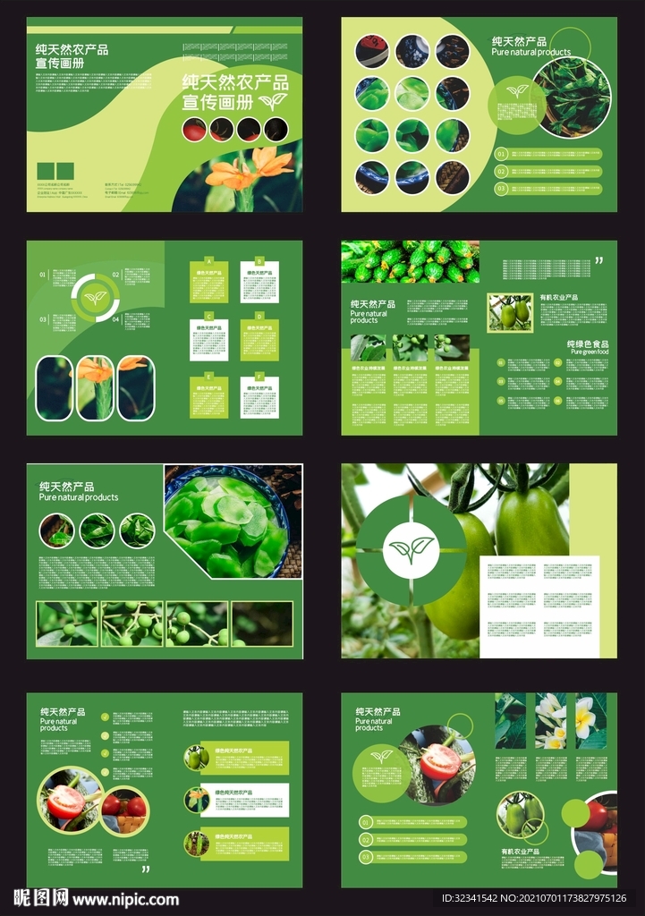 纯天然农产品宣传画册