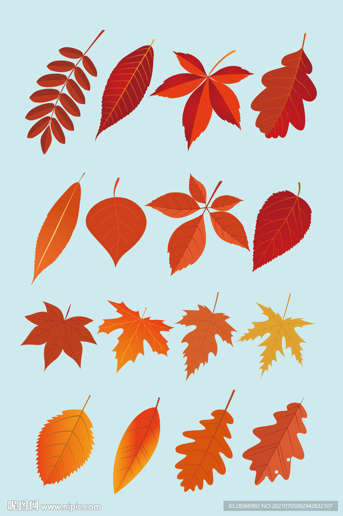 矢量叶子树叶枫叶