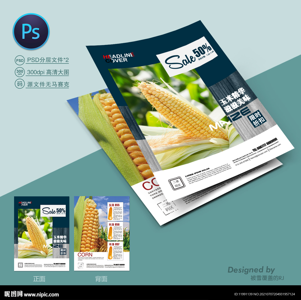 玉米种子宣传单