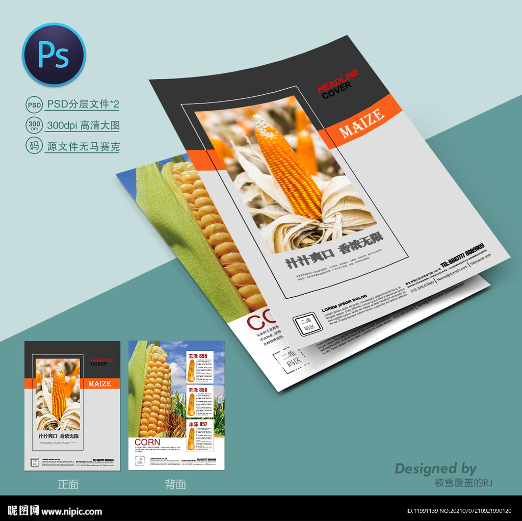 玉米种子宣传单