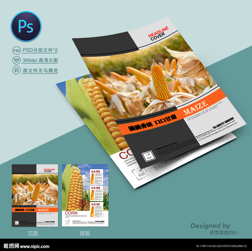 玉米种子宣传单