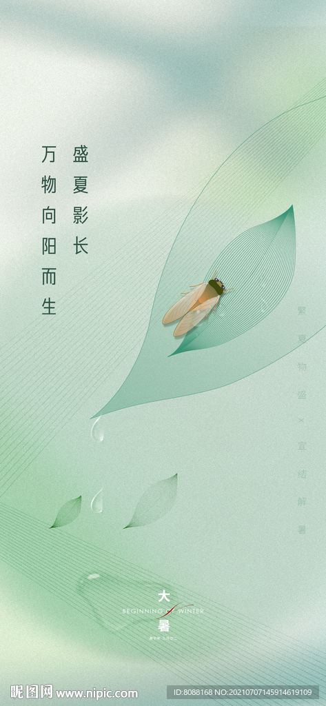 地产大暑小暑节气