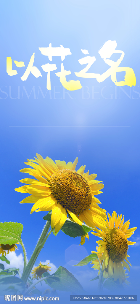 花海向日葵微信单图