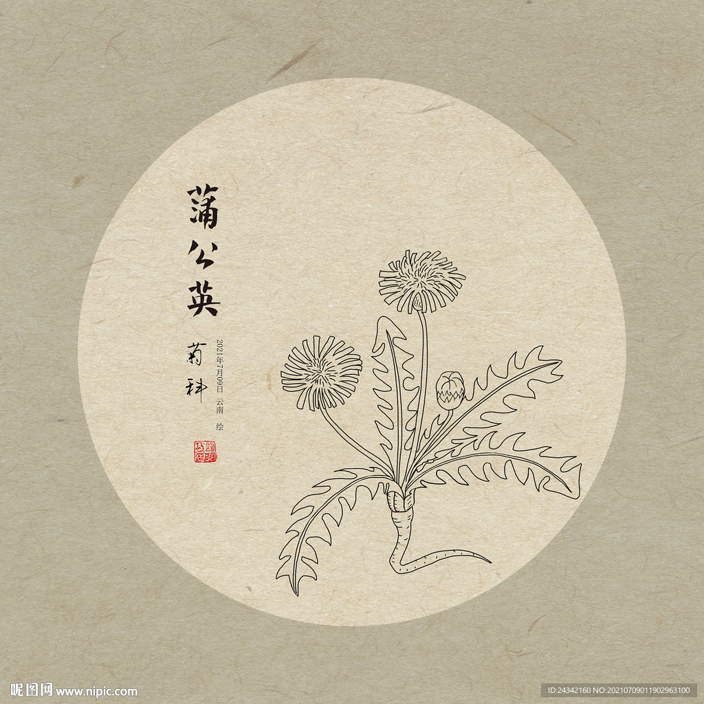 手绘蒲公英  