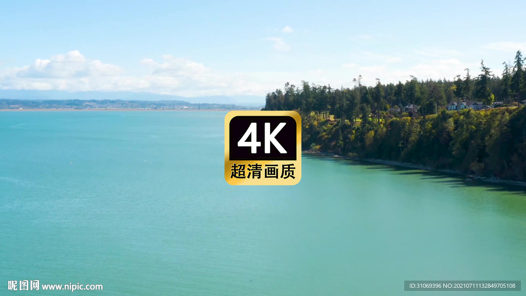 短视频素材航拍海岛森林美景