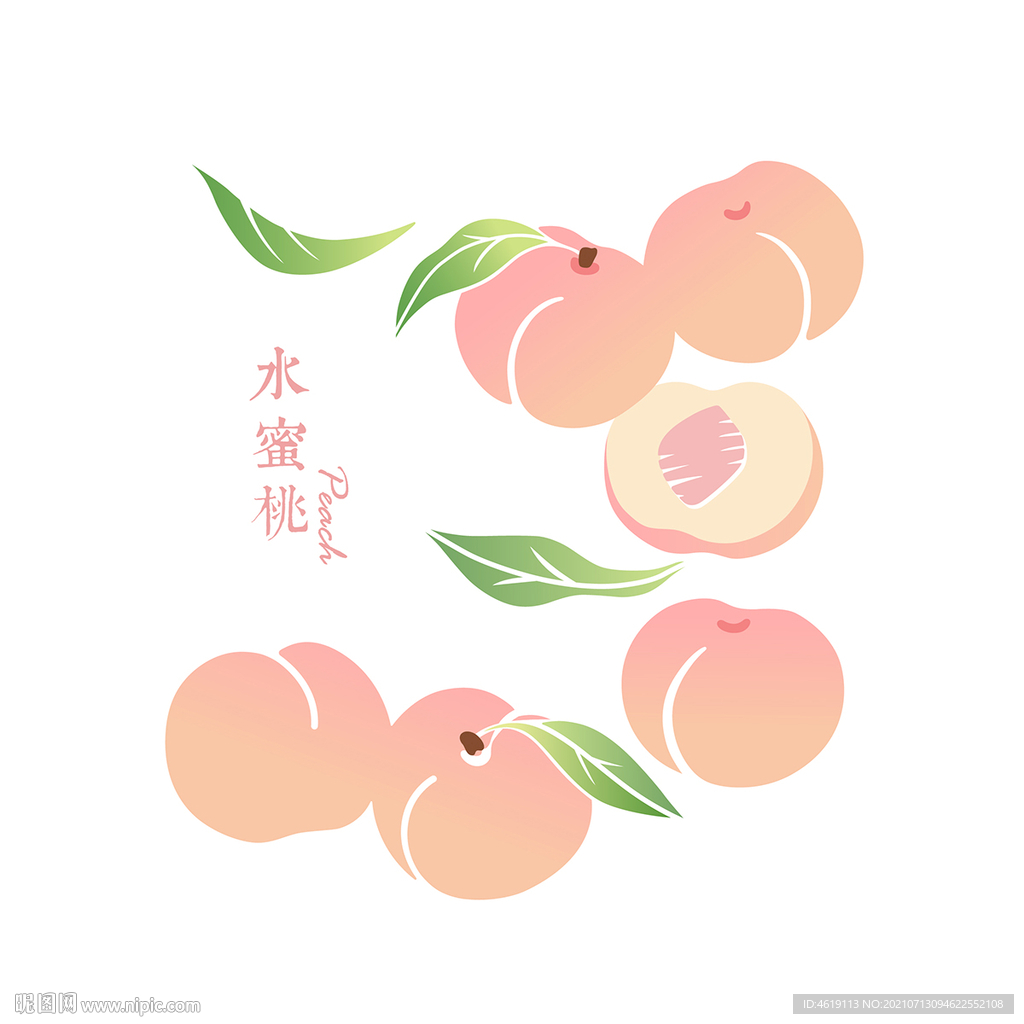 水蜜桃插画
