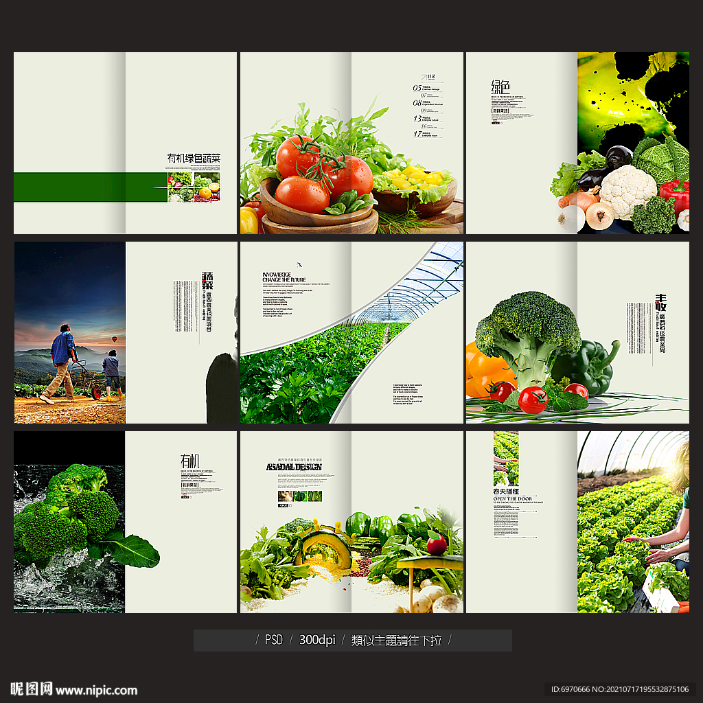 蔬菜画册