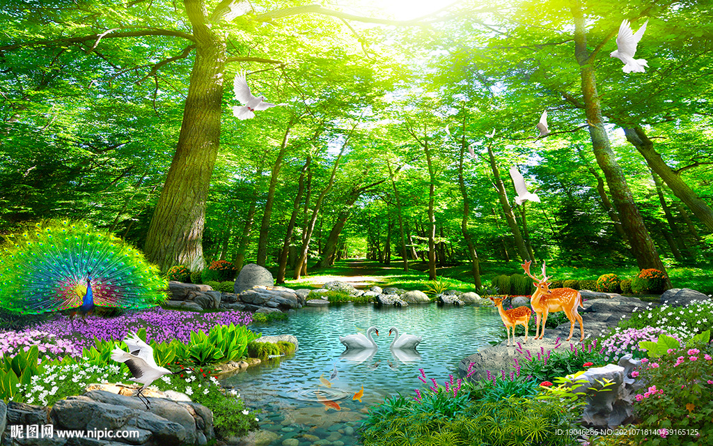树林小溪孔雀风景背景