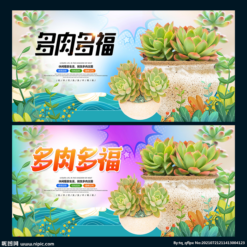 多肉海报植物