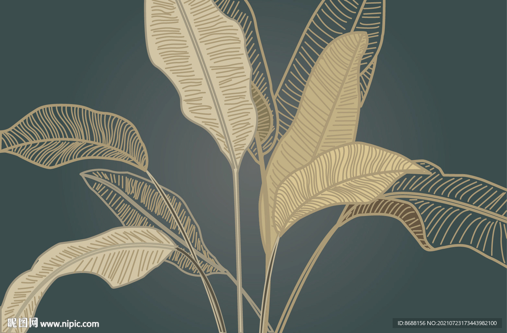 植物叶片 树叶 矢量植物 线条