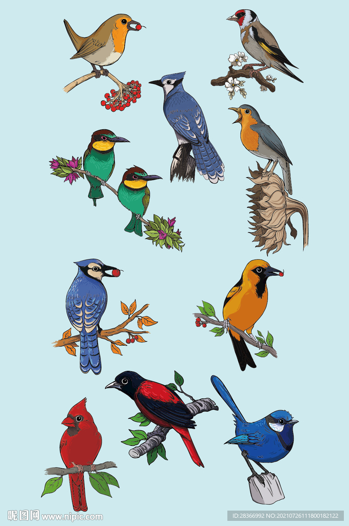 AI矢量手绘鸟类元素