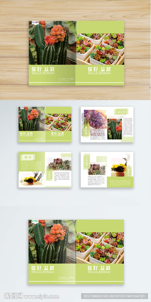 简约小清新盆栽画册