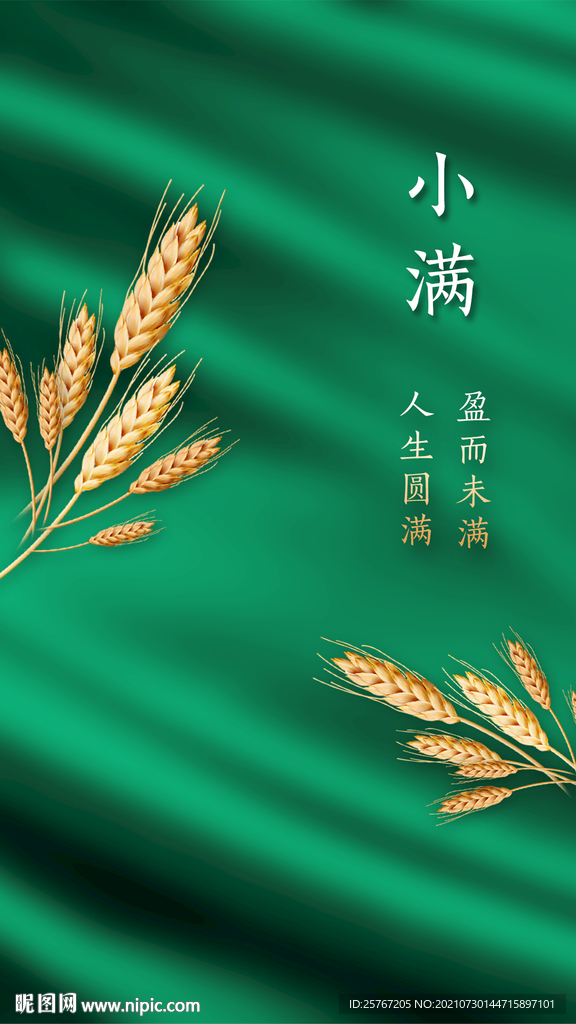 小满24节气绿色小麦简约海报