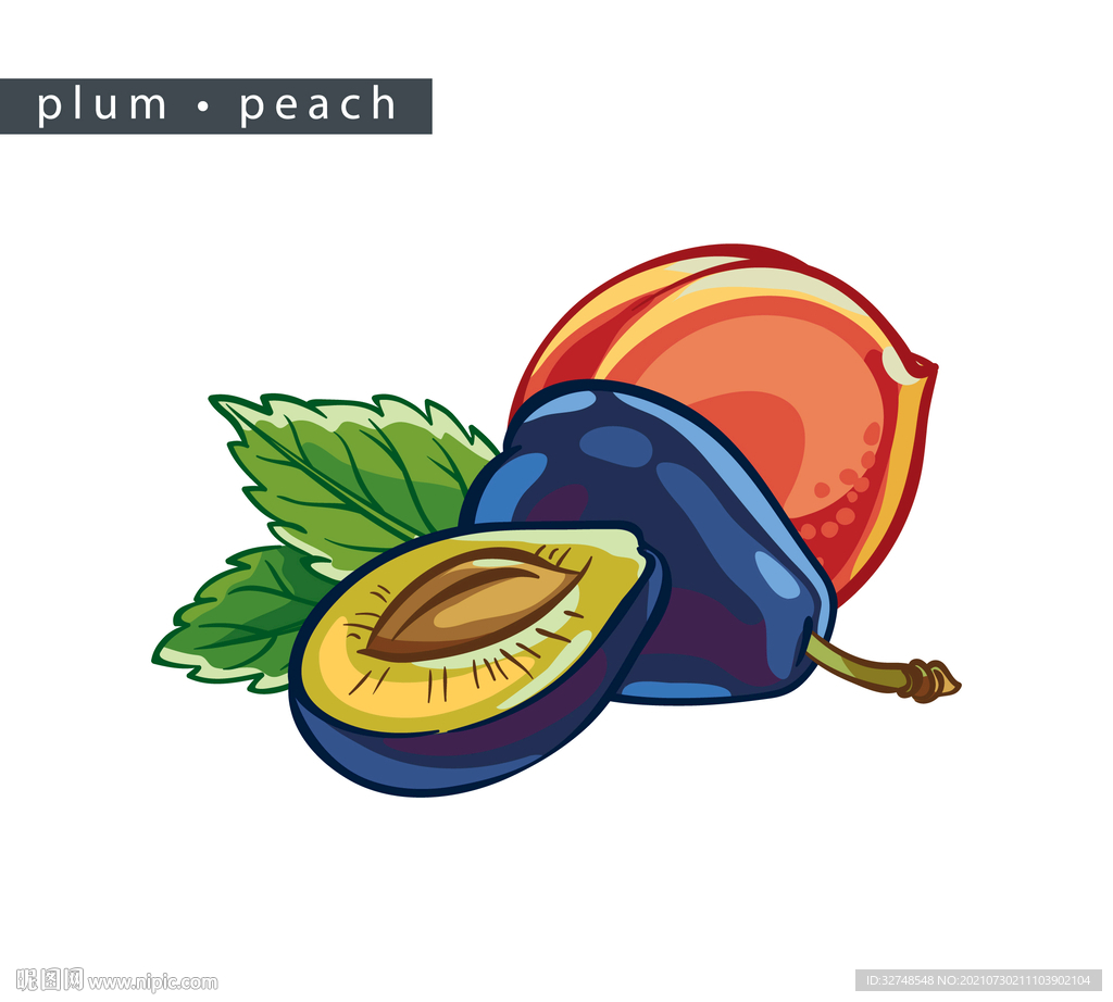 李子手绘 西梅插画