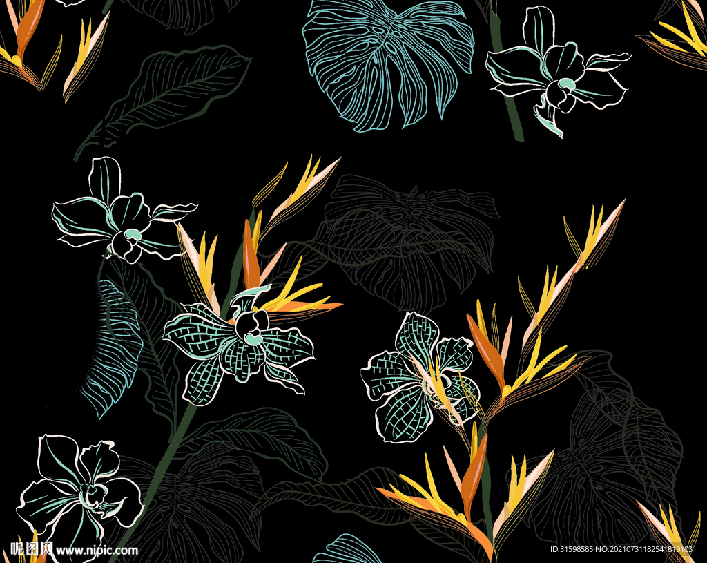 大牌  数码 天堂鸟