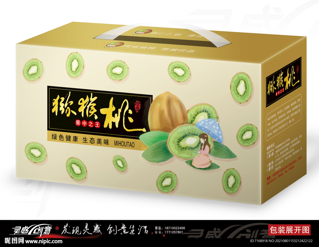 猕猴桃手绘插画